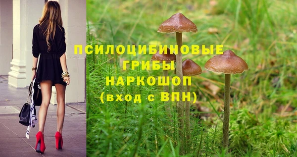 таблы Армянск