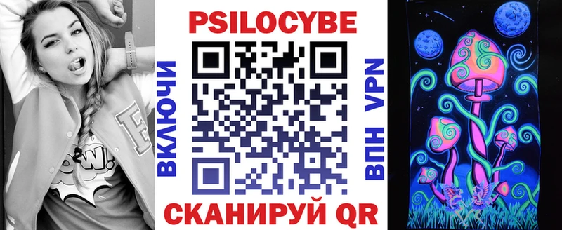 Псилоцибиновые грибы Psilocybine cubensis  Брянск 