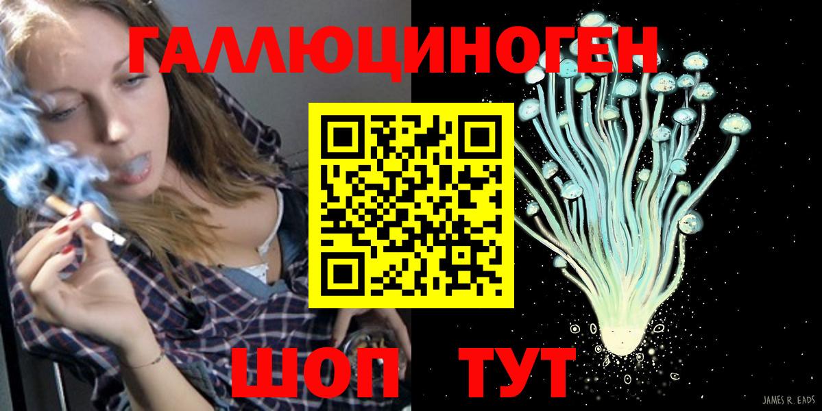 Брянск  Галлюциногенные грибы Psilocybine cubensis  Вход с VPN 