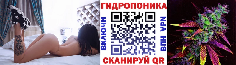 Шишки марихуана конопля Брянск