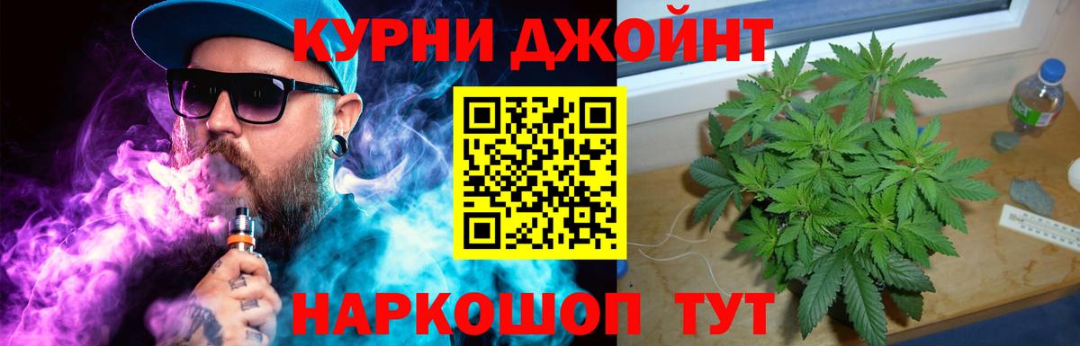 Канабис конопля Брянск